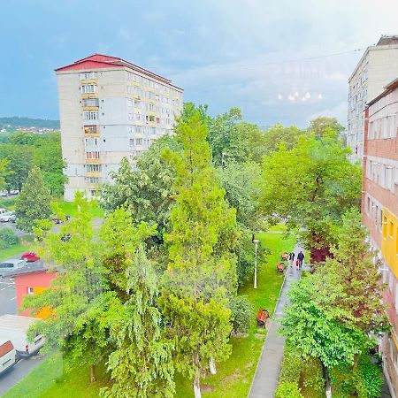 Daniela'S Rooms Hunedoara Zewnętrze zdjęcie